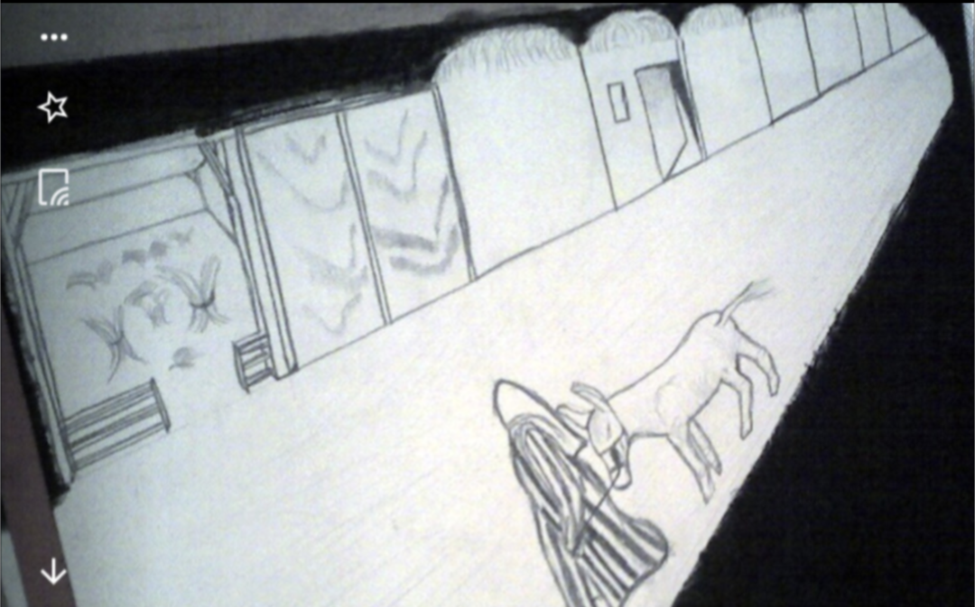 Detailed pencil drawing of the vision